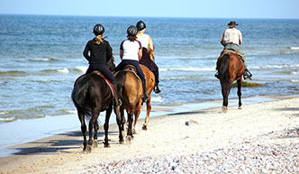 Paardrijden op het strand nabij Fletcher Badhotel Callantsoog
