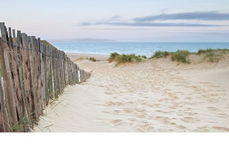 Beach near Fletcher Badhotel Callantsoog